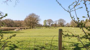A fenced grassy field with trees and a clear sky.
