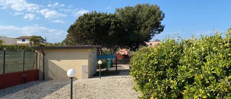 A gravel courtyard with a small building, a large tree, and a hedge.