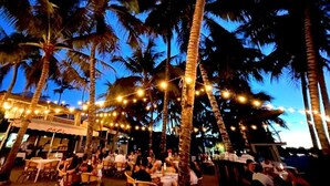 An outdoor dining area with tables and chairs under string lights, surrounded by palm trees.