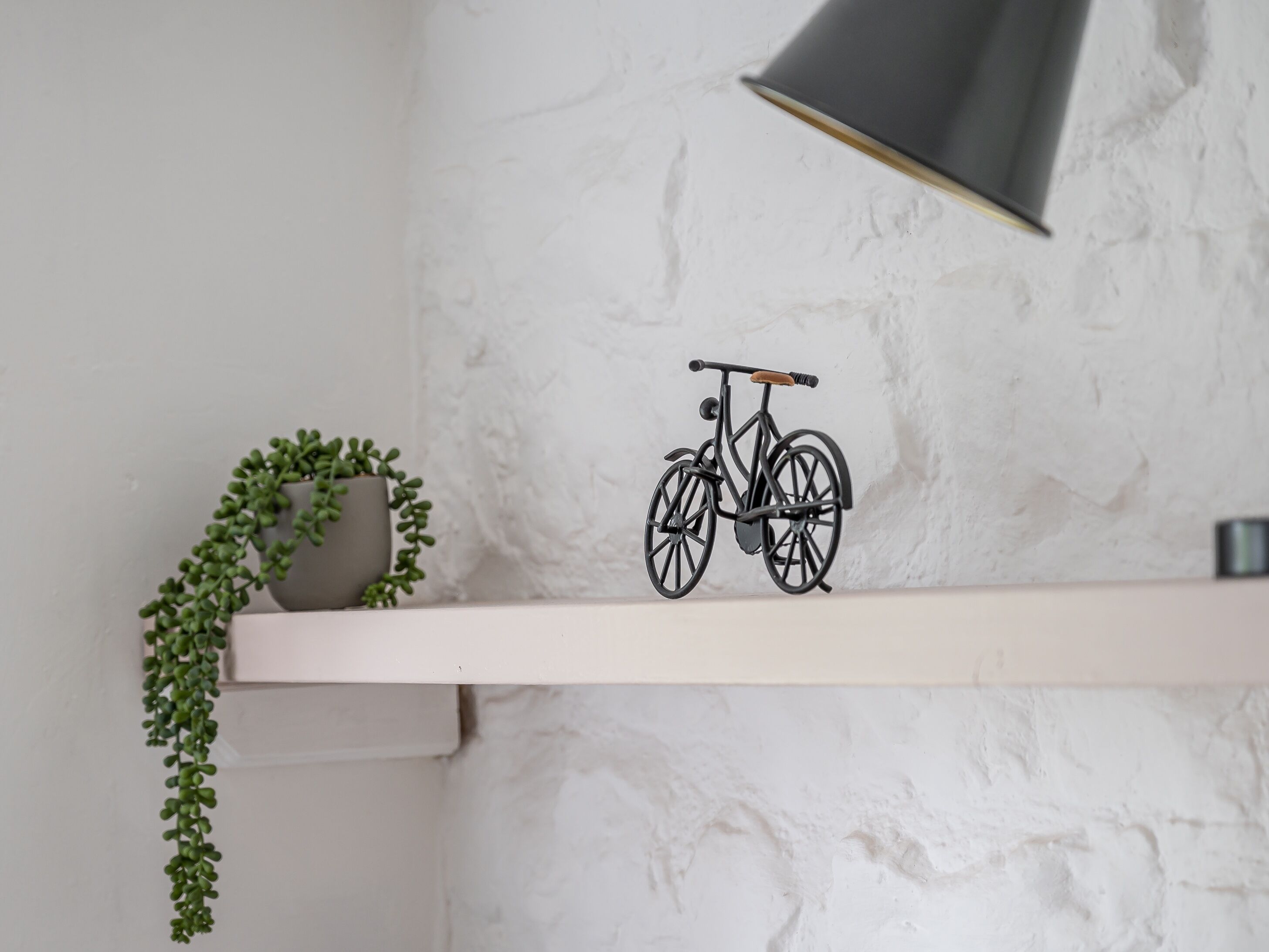 Uma prateleira com uma pequena planta em vaso e um modelo de bicicleta.
