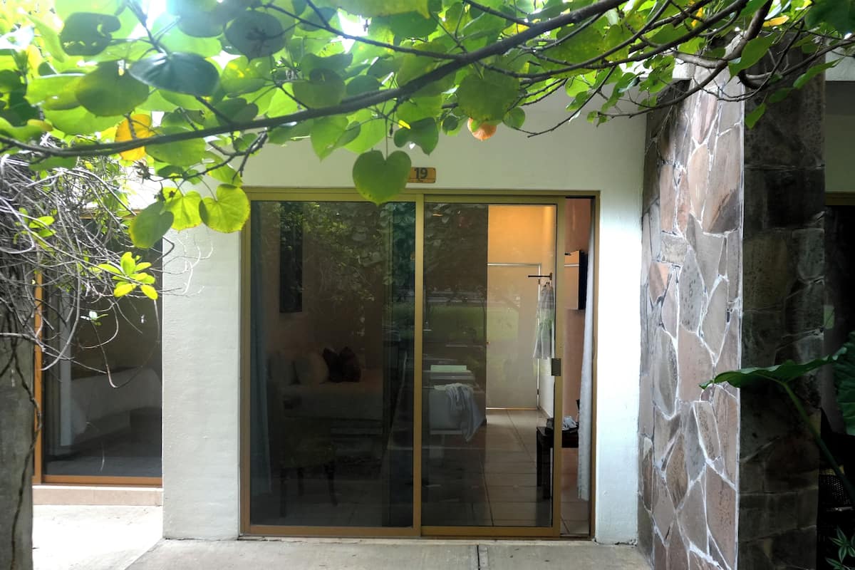 A building entrance with a glass door, a stone wall, and a small garden area with green leaves.