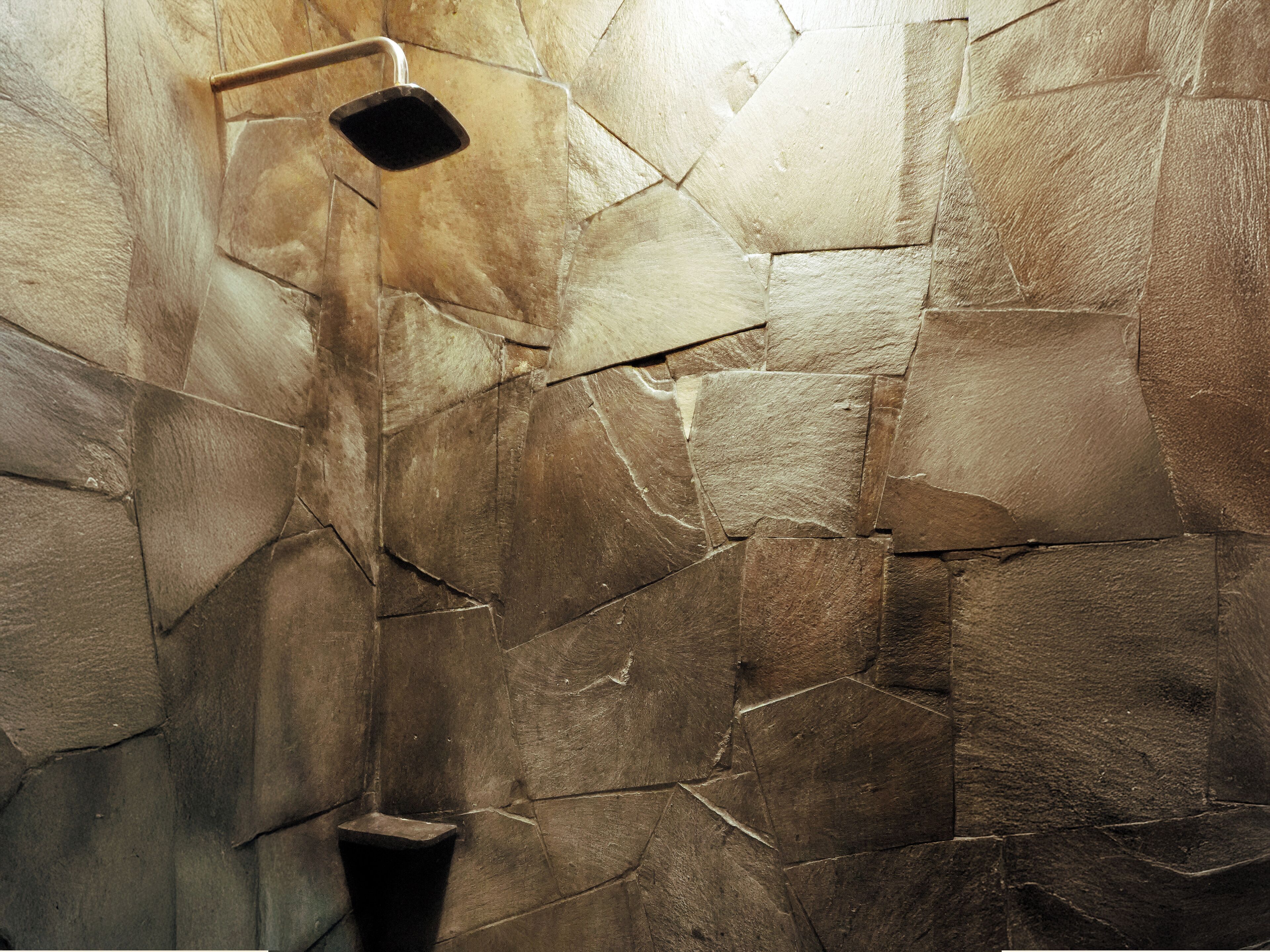 Presidential Suite | Bathroom shower