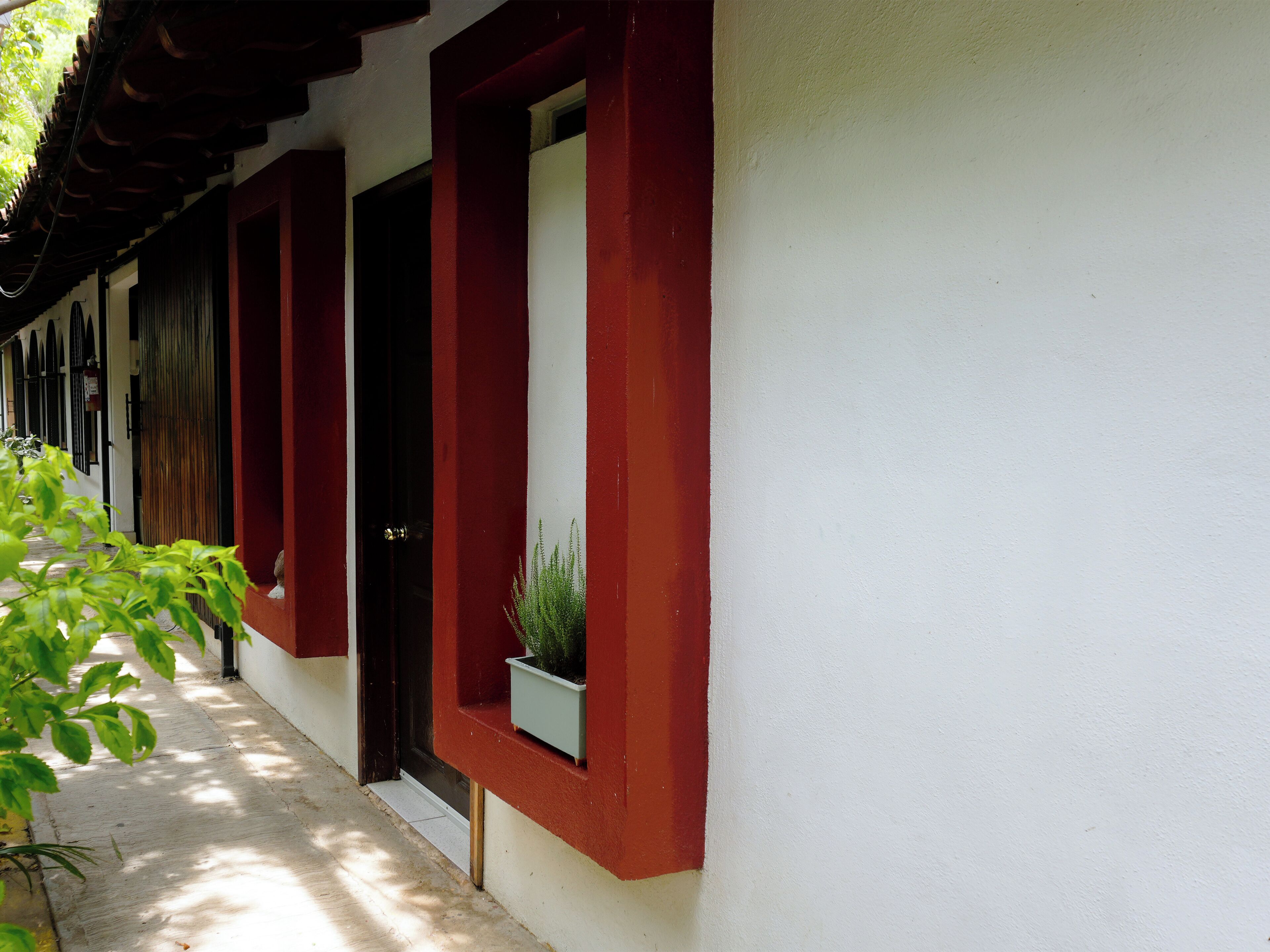 Suite estándar | Ropa de cama hipoalergénica y edredón 