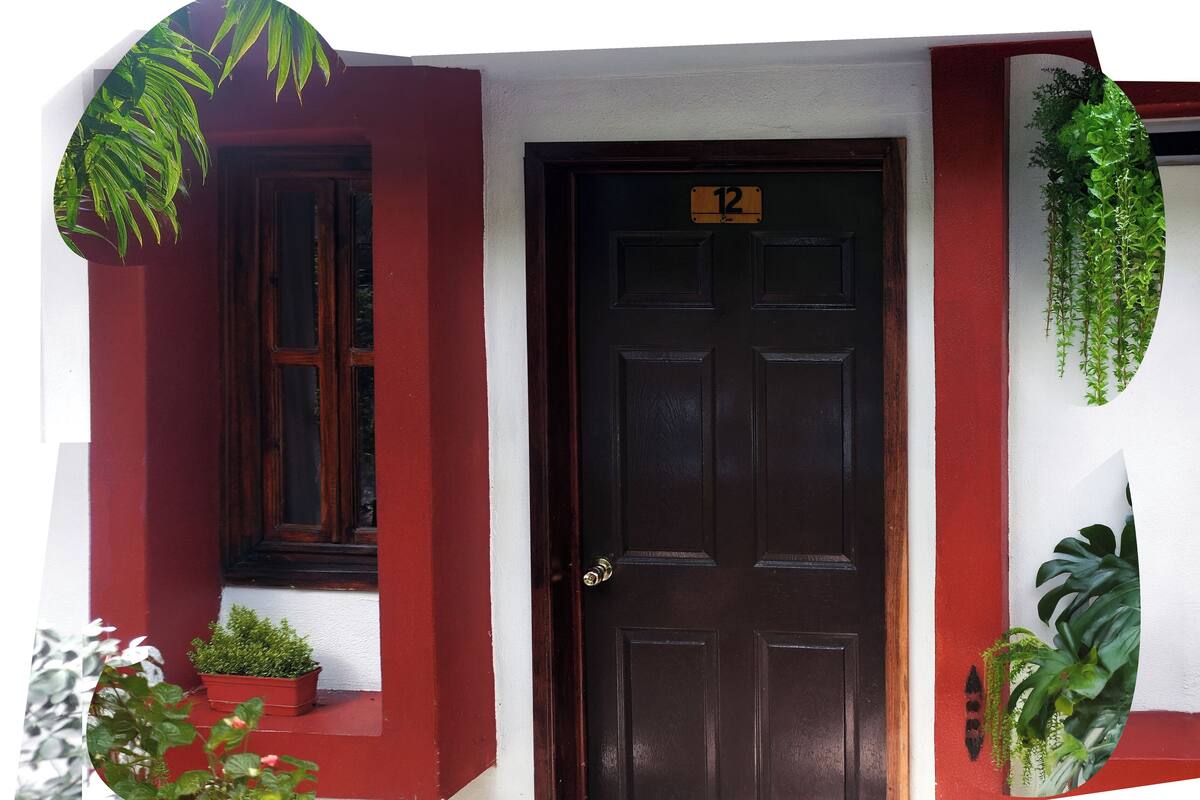 A dark brown door with the number 12, flanked by red and white walls, and adorned with potted plants.
