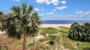 Een strand met palmbomen en een heldere lucht.
