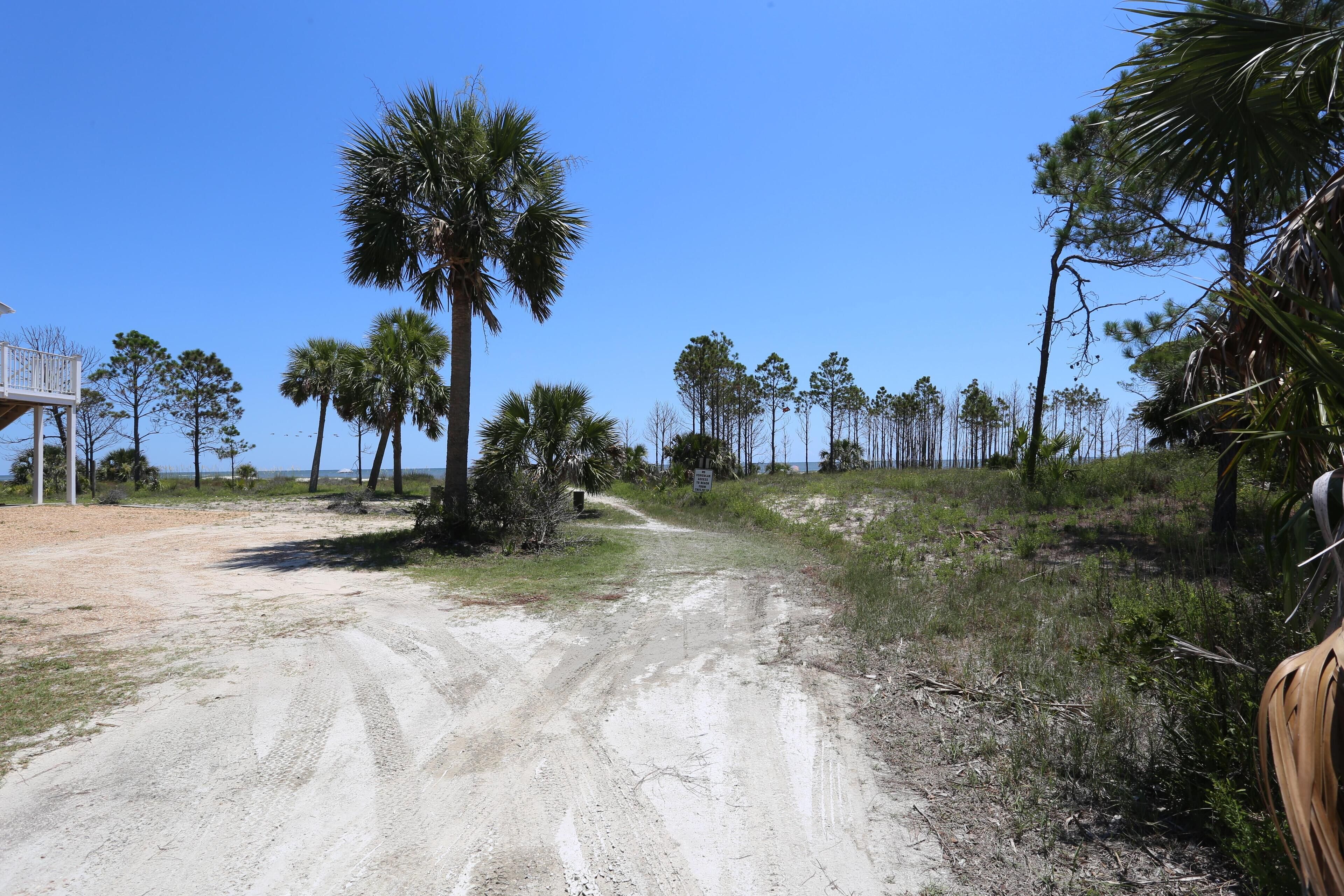 A dirt road leading to a beach area with palm trees and a wooden structure on the left.