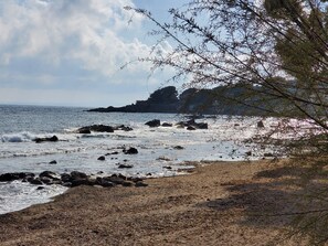 Tæt på stranden