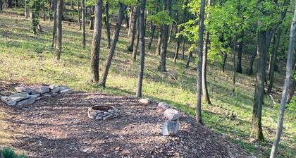 Secluded/Spacious Cabin with 5 BR, 5 min to resort