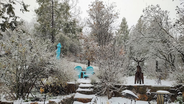 A snow-covered outdoor area with stone steps leading up to a blue gazebo. - Cabin 8 miles from Kings Canyon entrance gate. (Miramonte)
