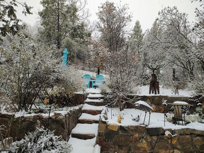 Cabin 8 miles from Kings Canyon entrance gate.