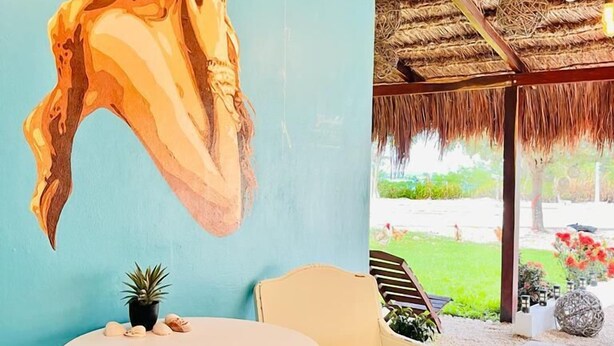 Reception - El Mirador Bacalar (Bacalar)
