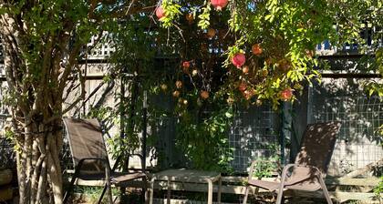 Napa SF near all popular locations! PET FRIENDLY. King Bed Near Wine Country