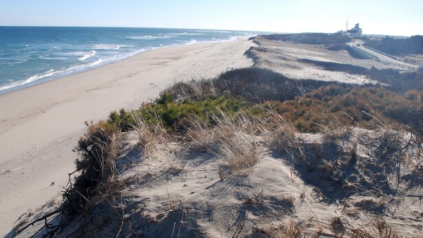 Una spiaggia con una riva sabbiosa e scarsa vegetazione.