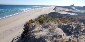 Una playa con orilla arenosa y vegetación escasa.