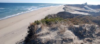 Cozy Cape Cottage - Minutes Away from National Seashore and Cape Cod Rail Trail!