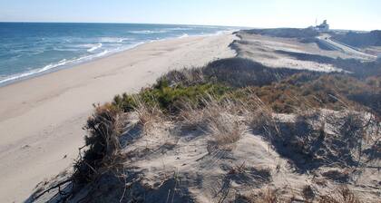 Cozy Cape Cottage - Minutes Away from National Seashore and Cape Cod Rail Trail!