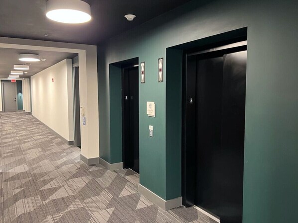 A hallway with carpeted floors, green walls, and black elevator doors.