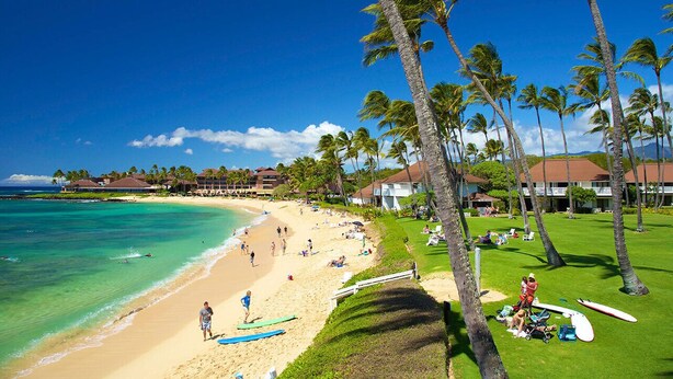 A beach resort with a sandy shore, palm trees, and a clear blue sky. - Luxury Ground Floor Condo Just 50 Yards From The Beach! (Koloa)