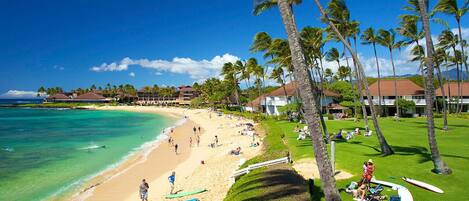 Plage à proximité, chaises longues, serviettes de plage