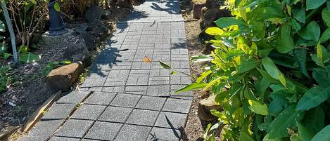 Un sendero pavimentado en un jardín rodeado de abundante vegetación y un farol decorativo.