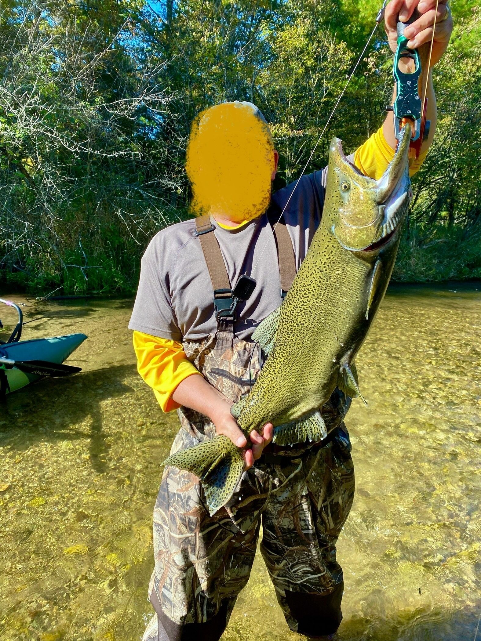 Eine Person präsentiert einen großen Fisch in einer natürlichen Umgebung.