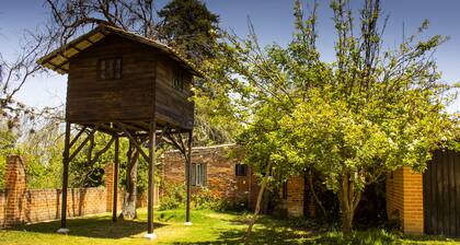 Luciérnagas en Puebla, especie en extinción, casa de campo con gran jardín