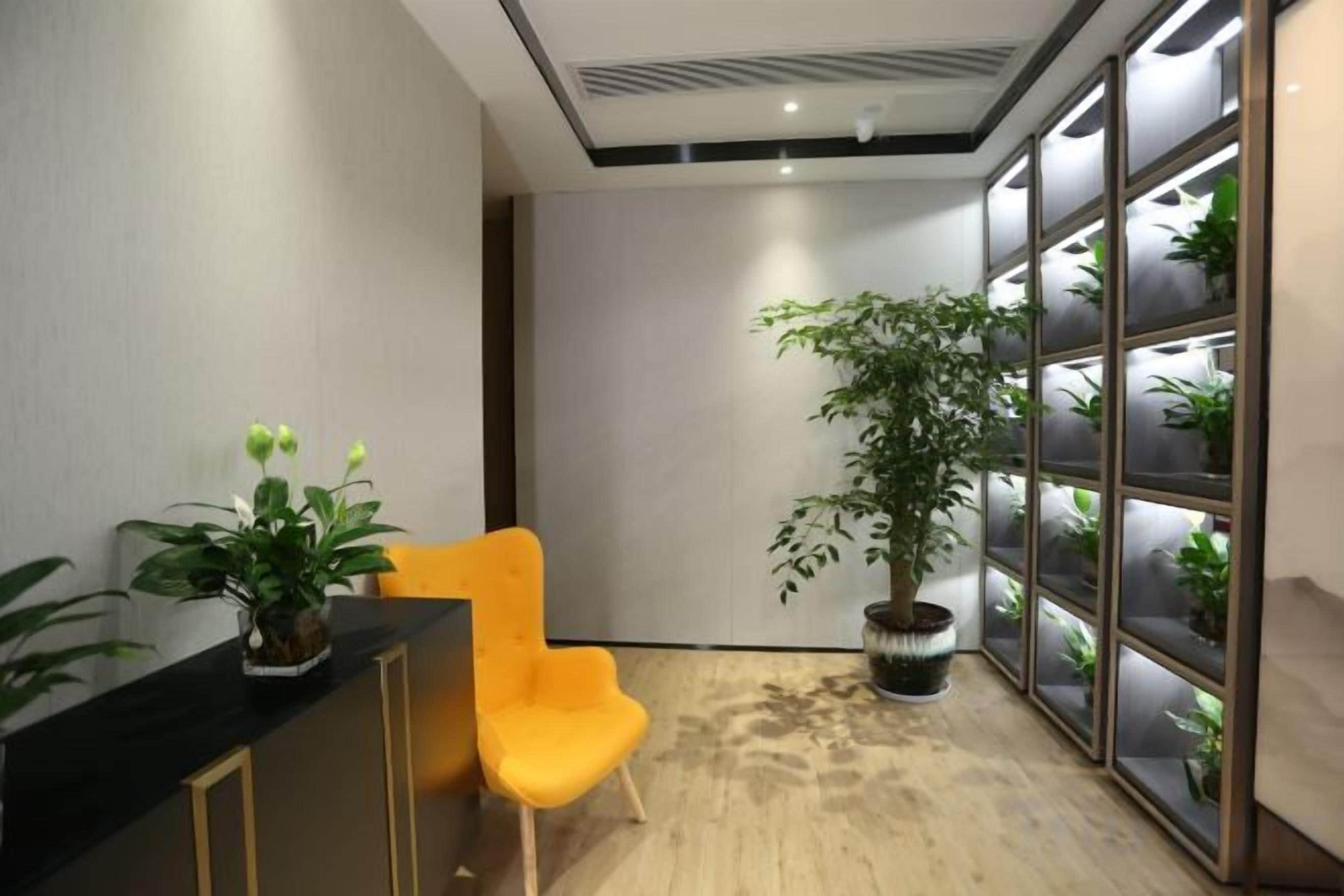 Una zona de recepción con mostrador, una silla amarilla, una planta en maceta y un expositor de plantas.