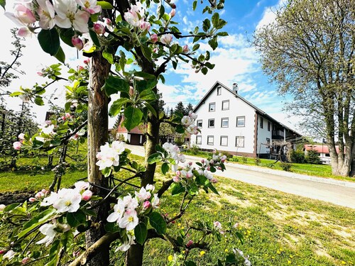 Appartement Ellenweiler bis 10 P avec Wi-Fi, terrasse et jardin