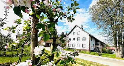 Appartement Ellenweiler bis 10 P avec Wi-Fi, terrasse et jardin