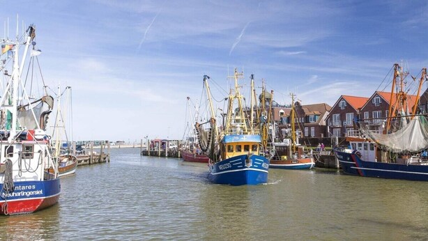 A harbor with fishing boats docked, buildings with red roofs, and a clear sky.