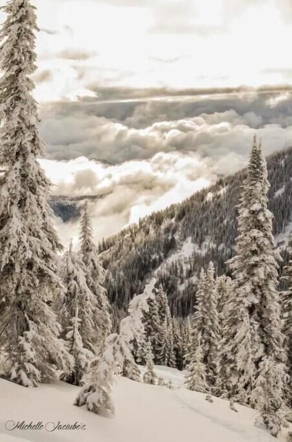 Un paisaje montañoso nevado con densos árboles de hoja perenne.
