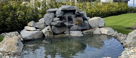 Àrea exterior de l'allotjament