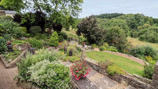 Un jardin avec un chemin de pierres, différentes plantes et un banc.