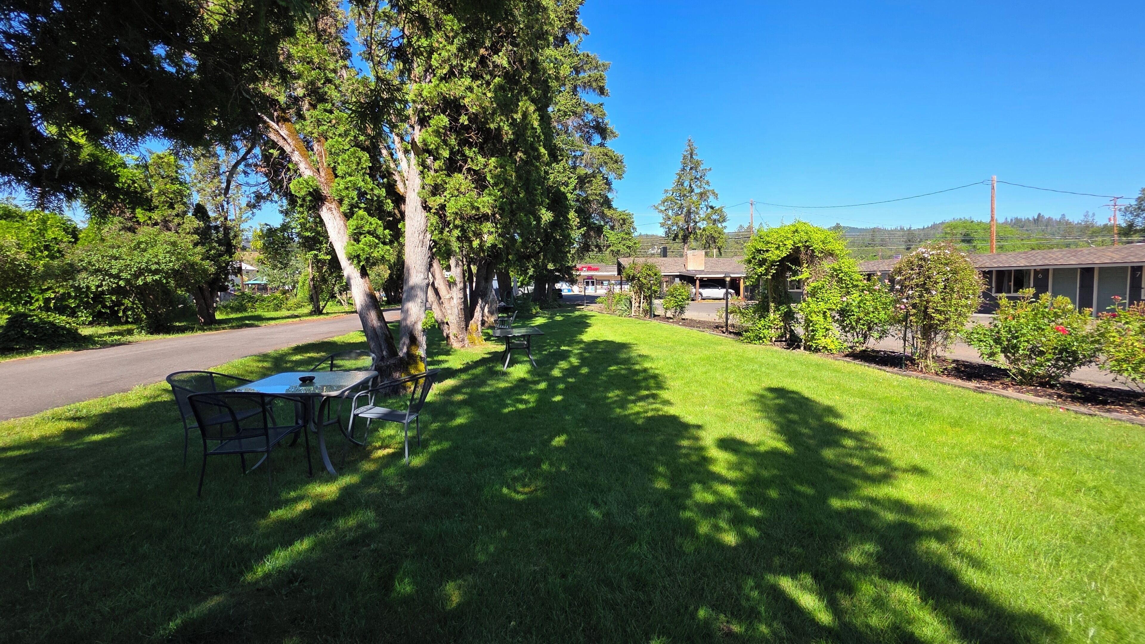 A grassy outdoor area with a table and chairs, surrounded by trees and a building in the background.