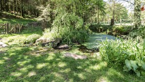 A natural outdoor setting with a small stream, dense greenery, and a wooden fence. - Little Trespettigue (Launceston)
