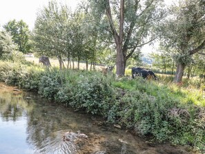 A natural landscape with a river, trees, and a cow grazing. - The Old Cow Shed (Banwell)