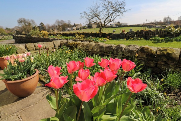 Cottage | Property grounds