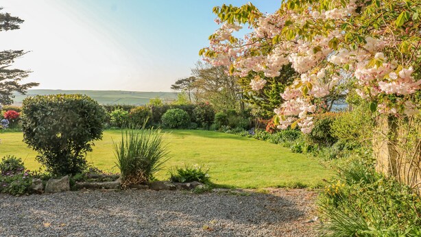 Un jardin où l’on trouve une grande variété de plantes et un grand arbre en fleurs.