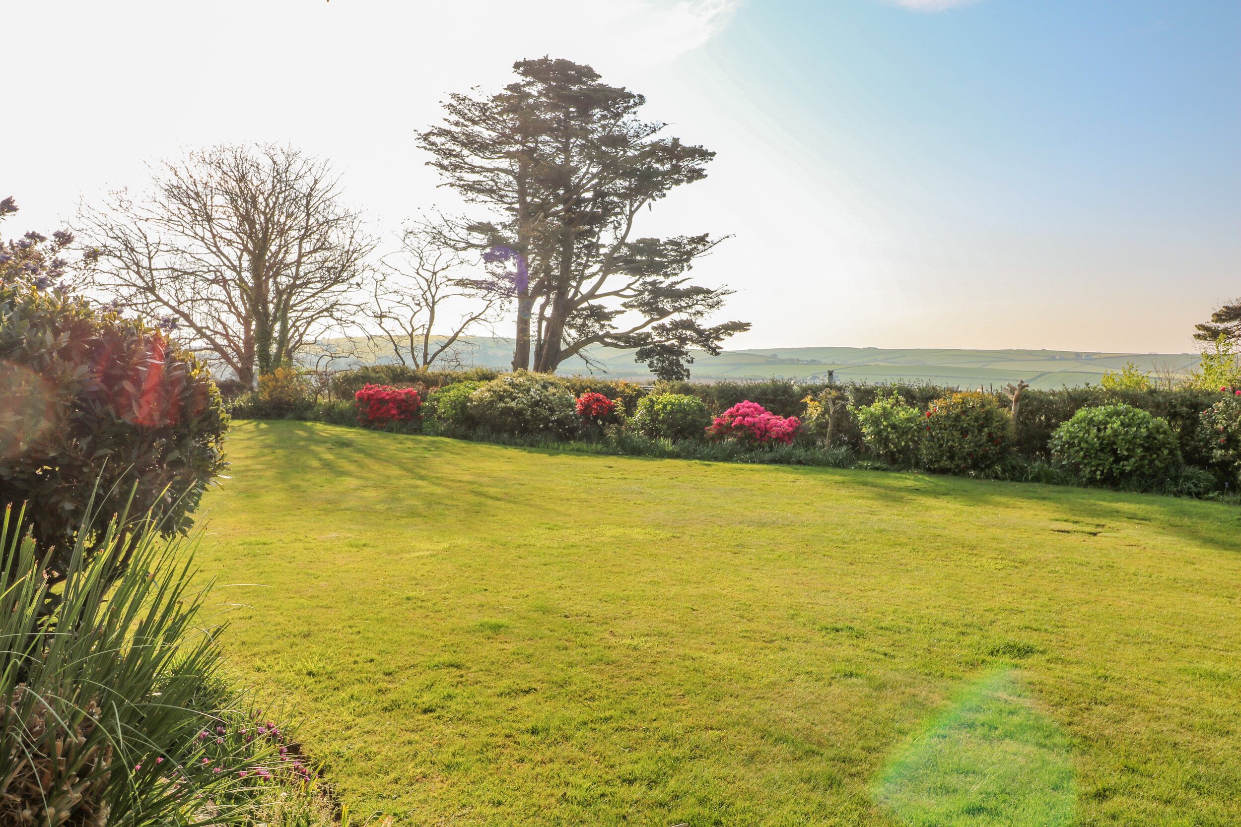 Um jardim bem cuidado com diversos arbustos e gramado, uma grande árvore e uma vista desobstruída do horizonte.
