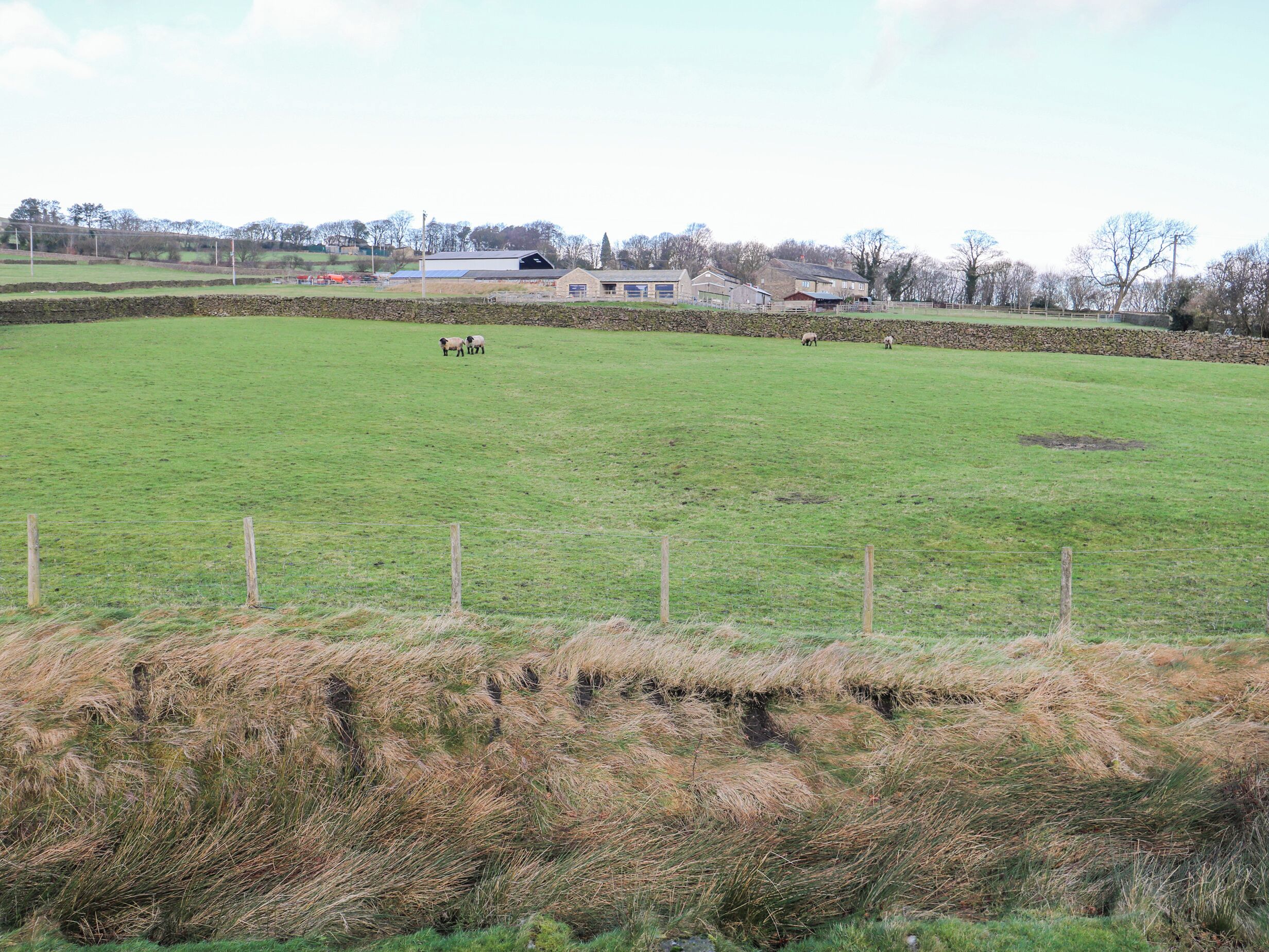A rural landscape with a fenced field, a few buildings in the background, and a stone wall.
