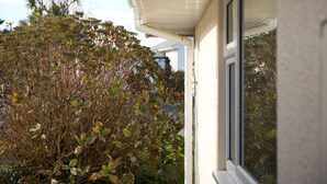 Uitzicht op een huis met een raam en een dichte haag op de voorgrond.