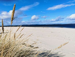 A beach with sand and seaweed.