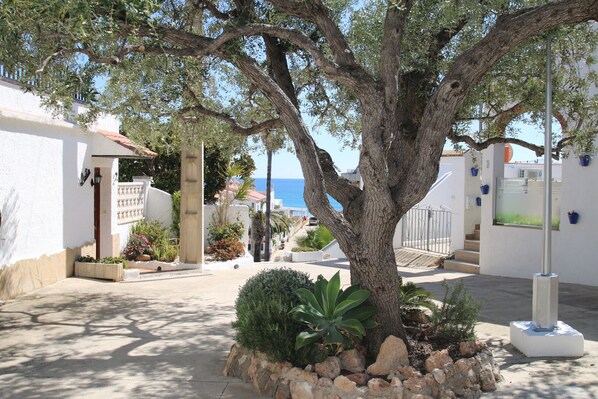 A tree-lined street with a view of the sea, white buildings, and a clear sky.