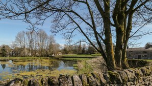 A stone wall with moss, a pond with algae, and leafless trees in a rural setting. - The Priory (Bakewell)