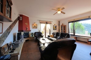 Smart TV, fireplace, DVD player, ping pong