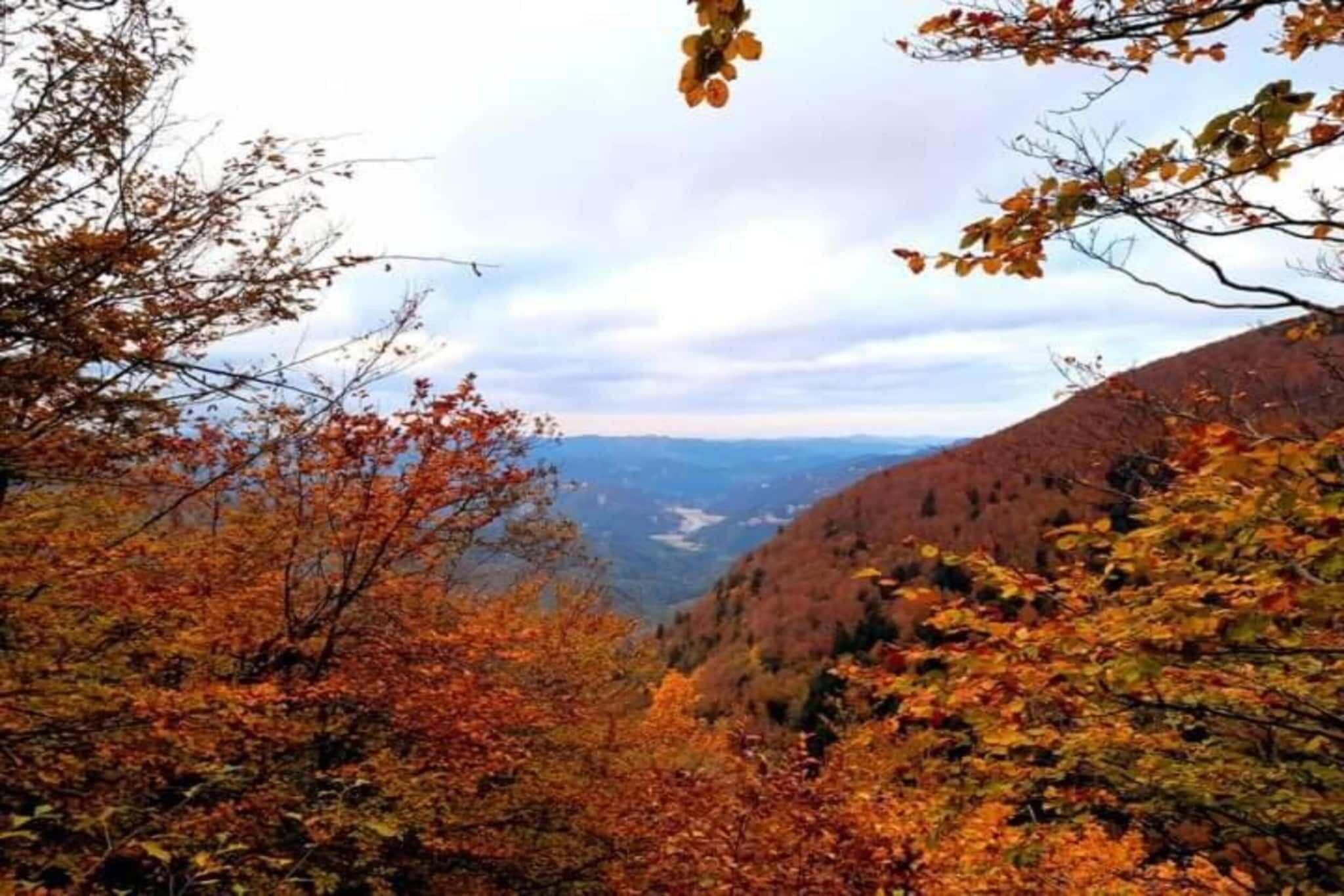 Eine Berglandschaft mit Herbstlaub.