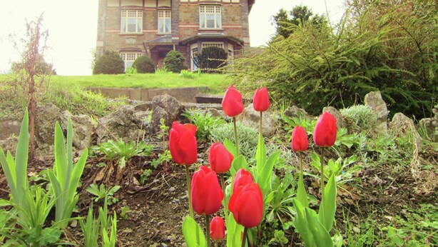Una gran casa de piedra con una entrada destacada y un jardín cuidado con tulipanes rojos.