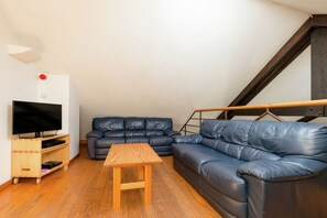 スマートテレビ、暖炉、卓球台、ステレオ