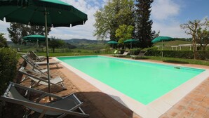 A rectangular swimming pool with a tiled edge, surrounded by lounge chairs and green umbrellas. - Farmhouse in San Gimignano with Pool (San Gimignano)