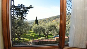 Une vue à travers une fenêtre à cadre en bois, dévoilant un paysage avec des arbres et une colline au loin.